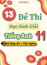 Tổng hợp 13 Đề thi HSG Tiếng Anh 11 (Đủ Đáp án + File nghe)